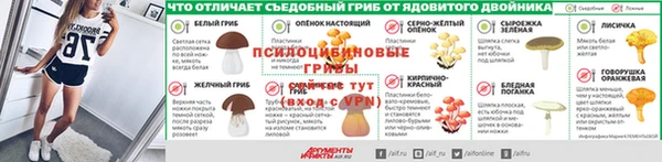 сатива Алексеевка