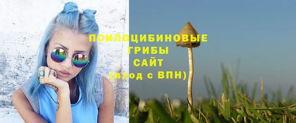 сатива Алексеевка