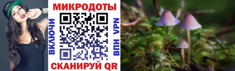 Галлюциногенные грибы Psilocybe  Павловская 